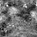 m5345_ori