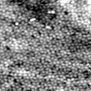 m5346_ori