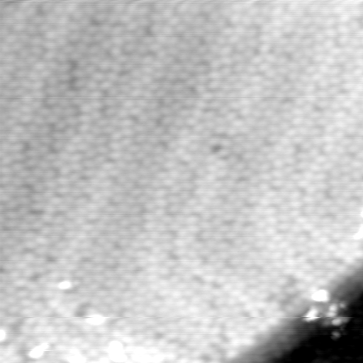 m5362_ori