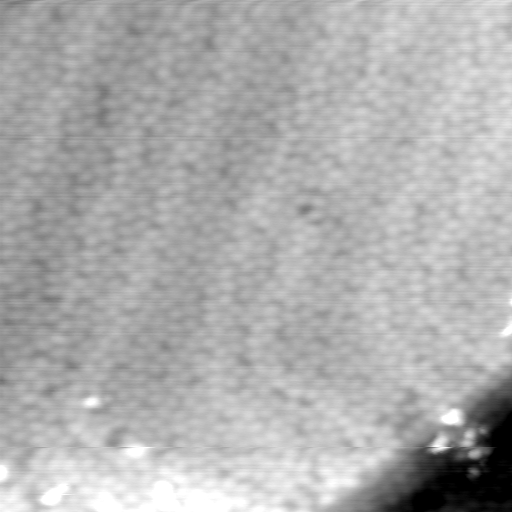 m5362_ori