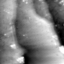 m5365_ori
