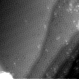 m5382_ori