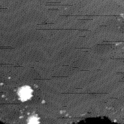 m5389_ori