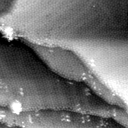 m5396_ori
