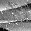 m5477_ori