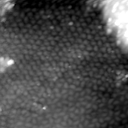 m5481_ori