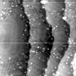 m5498_ori