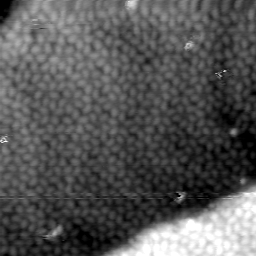 m5646_ori
