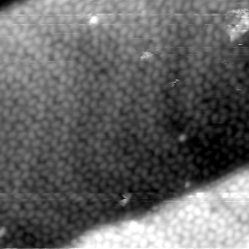 m5647_ori