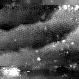 m5656_ori