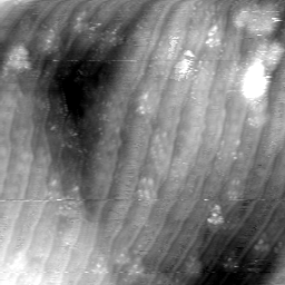 m5676_ori