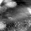 m5689_ori