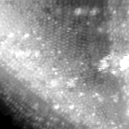 m5741_ori