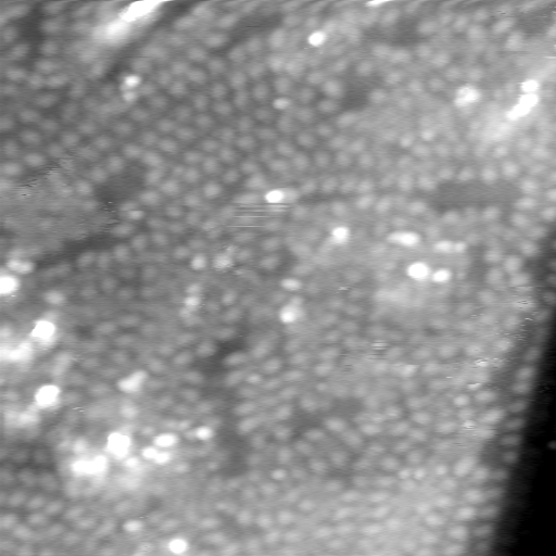 m5773_ori