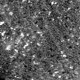 m5799_ori