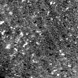 m5799_ori