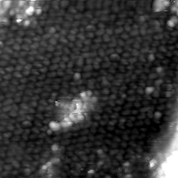 m5810_ori