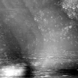 m5813_ori