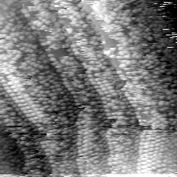 m5814_ori