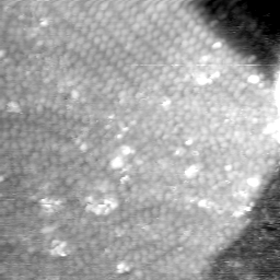 m5820_ori