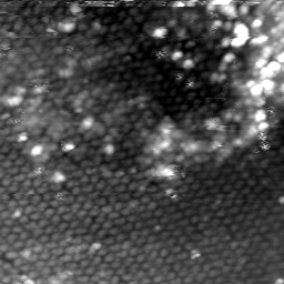 m5825_ori