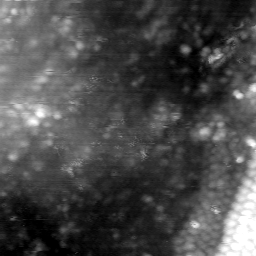 m5833_ori