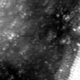 m5833_ori